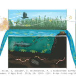 Applied-Ecology-neonicotinoid-insecticides-RobLang-ANIMATED-CITED